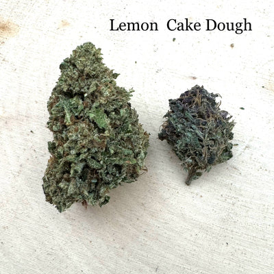 Lemon Cake Dough