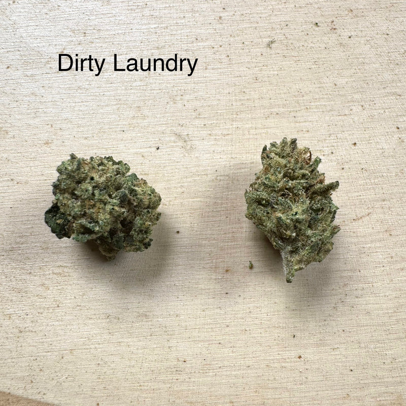 Dirty Laundry