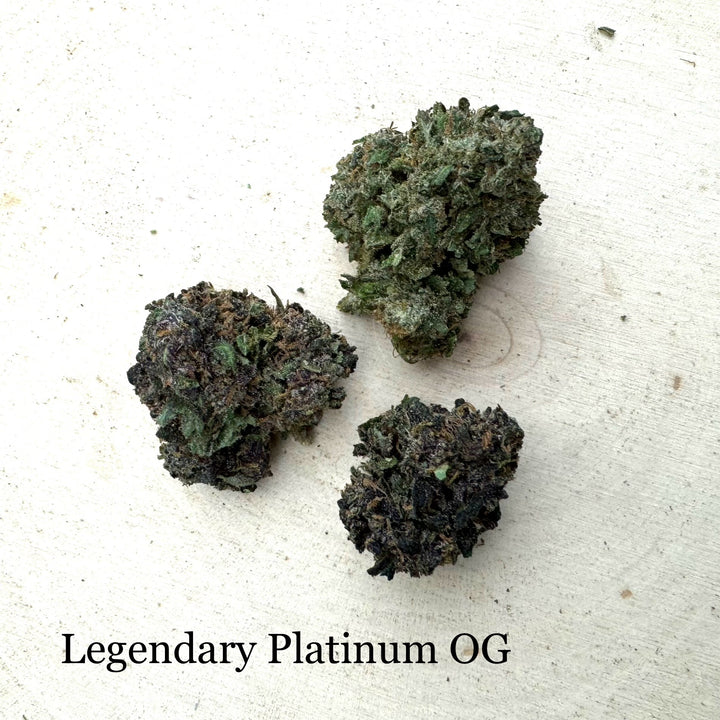 Legendary Platinum OG