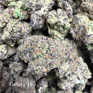 Indoor Gelato 42 - Super Exotics