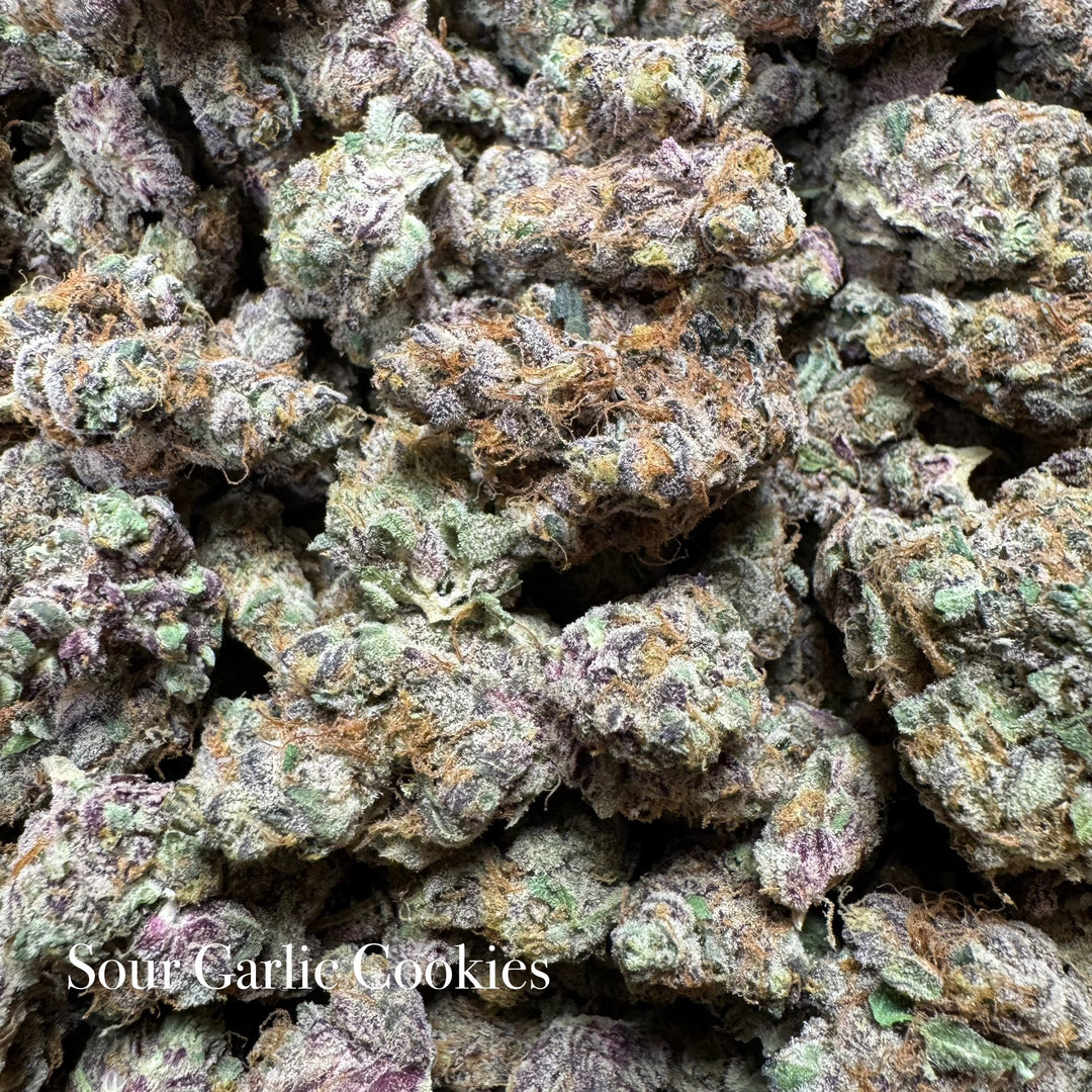 Indoor Sour Garlic Cookies - Exotic