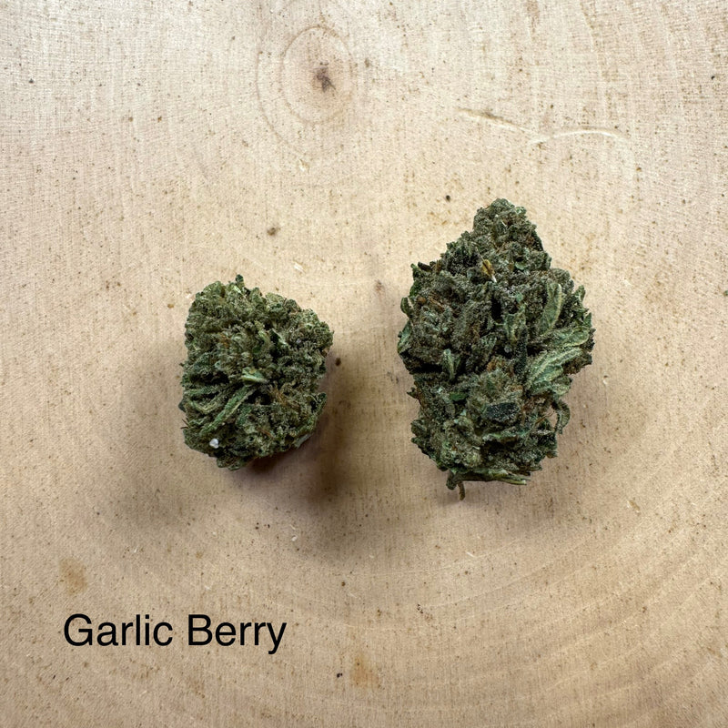 Garlic Berry THCv