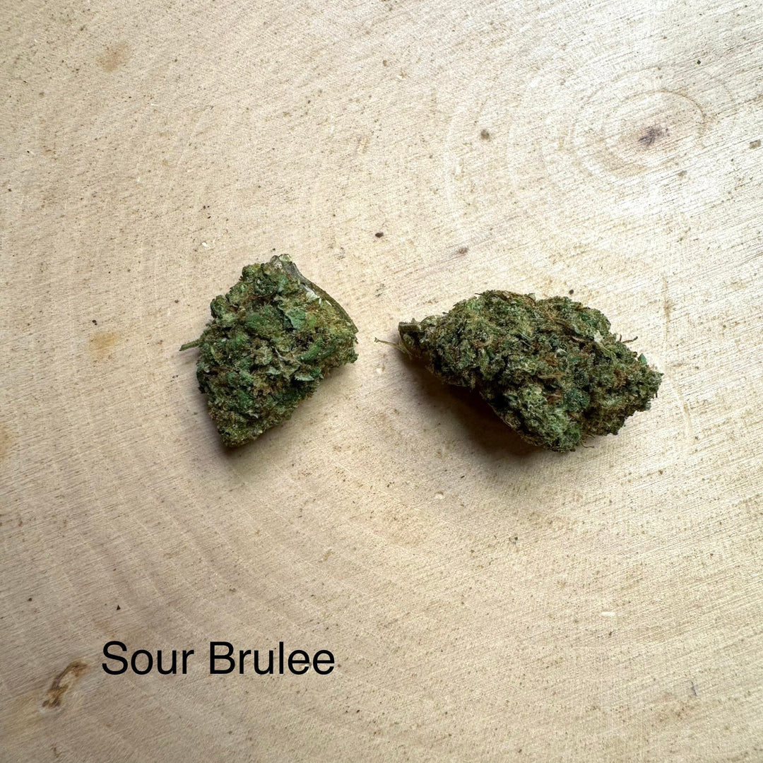 Sour Bruleé