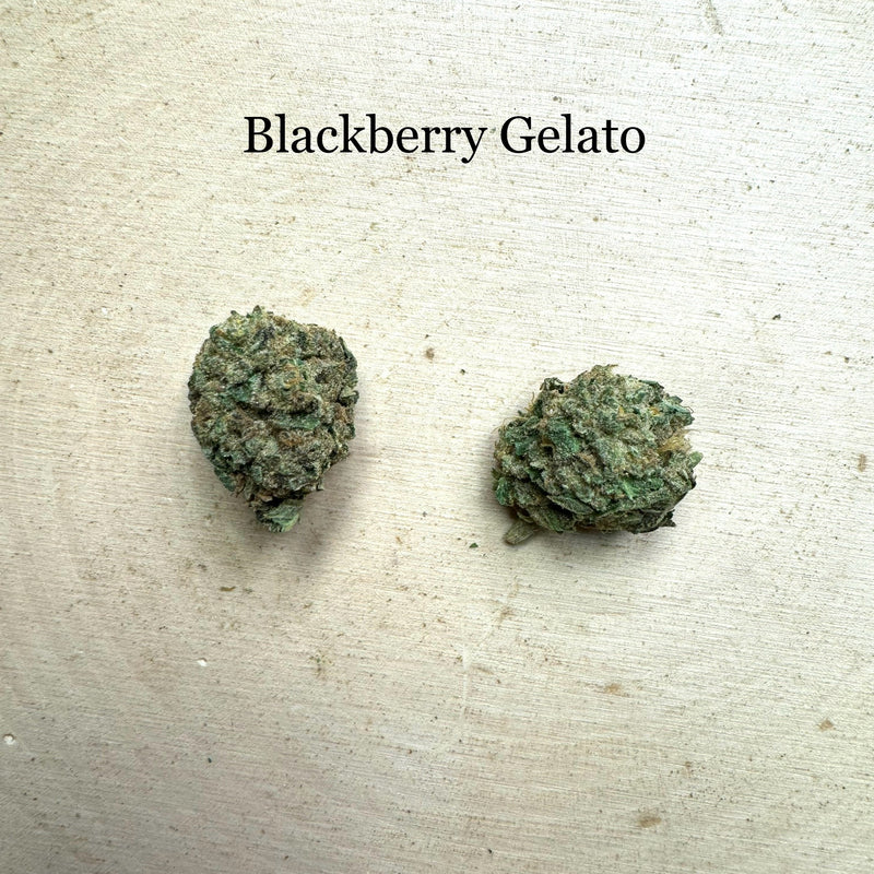 Blackberry Gelato