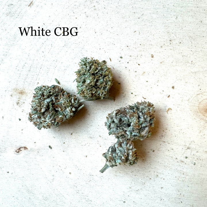 White CBG