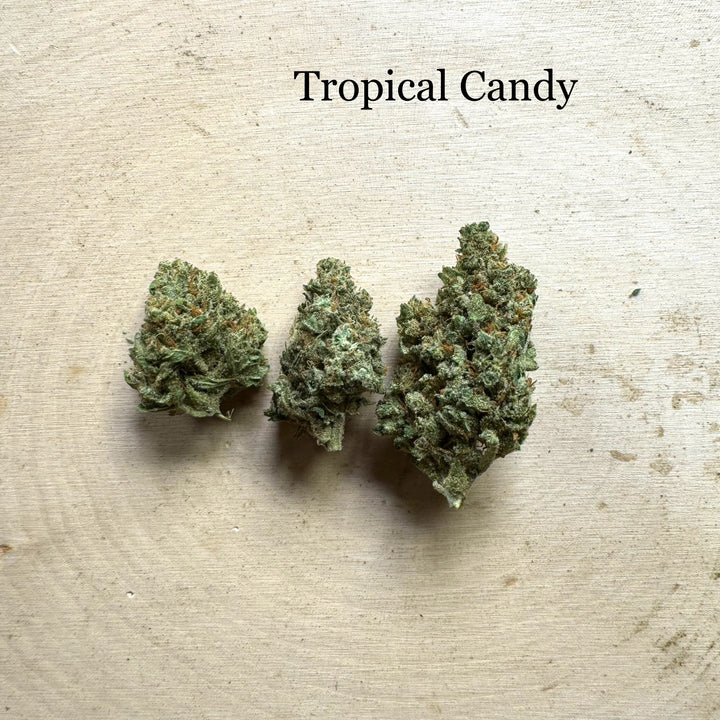 Tropical Candy