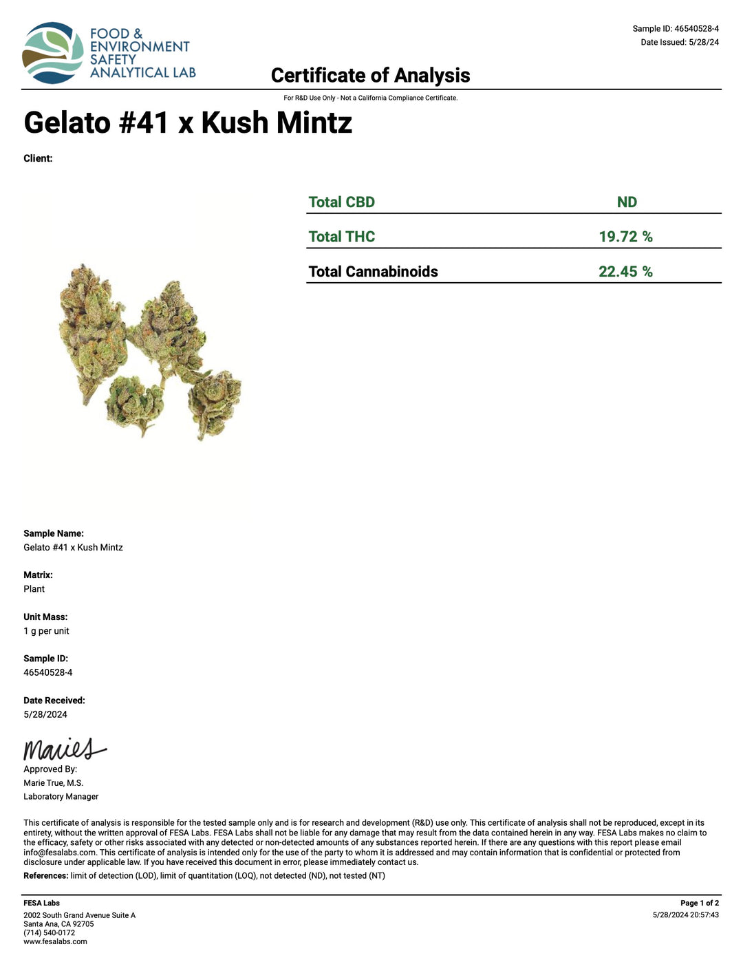 Indoor Gelato 41 x Kush Mintz