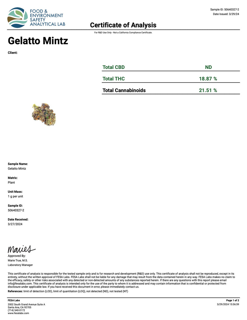 Indoor Gelato Mintz