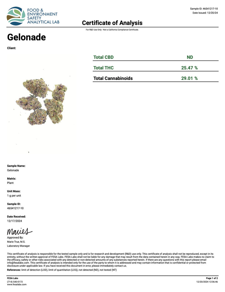 Indoor Gelonade 2
