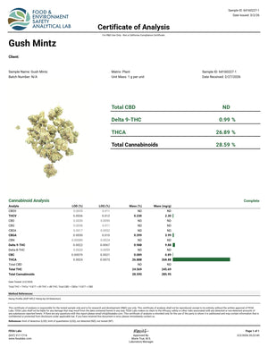 Indoor Gush Mintz Exotics