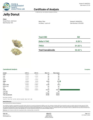 Indoor Jelly Donut - Super Exotics