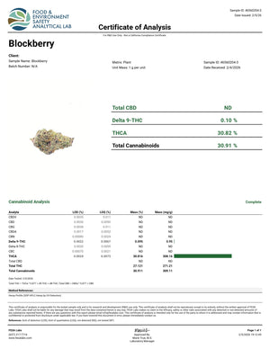 Indoor Blockberry - Super Exotics