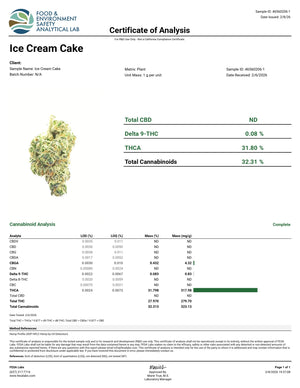 Ice Cream Cake
