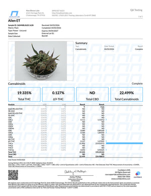 Indoor Alien ET - Super Exotics