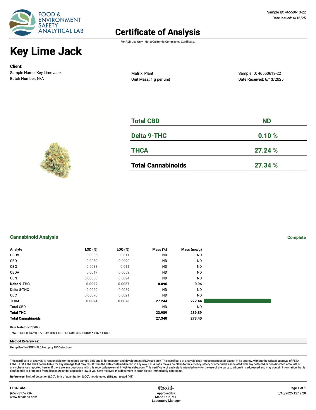 Indoor Keylime Jack