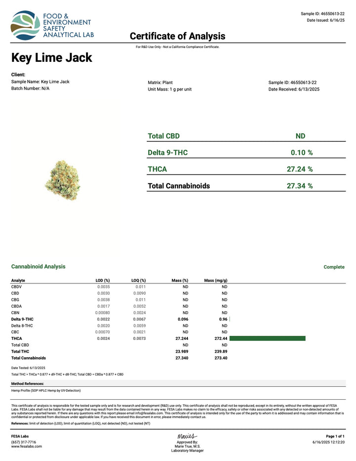 Indoor Keylime Jack