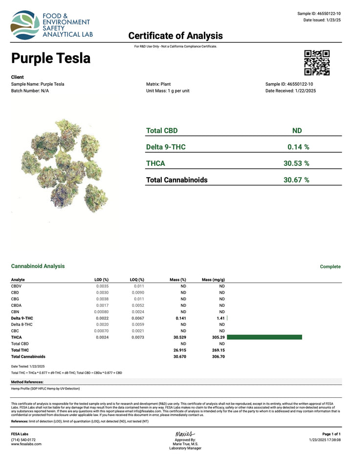 Indoor Purple Tesla