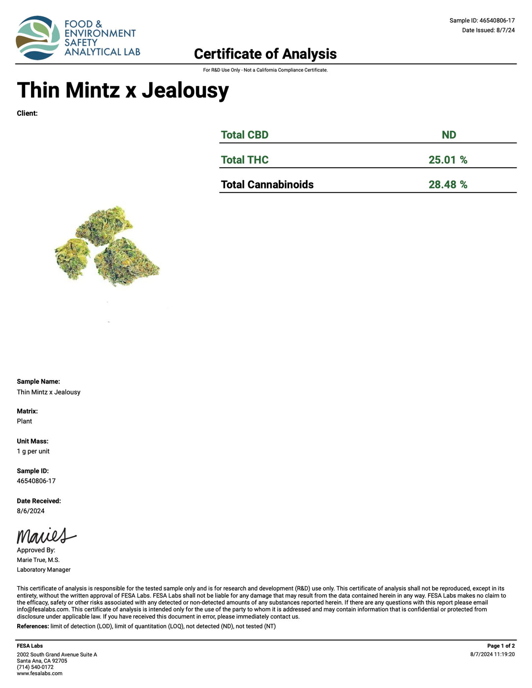 Indoor Thin Mintz x Jealousy