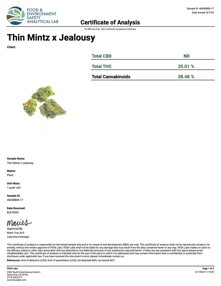 Indoor Thin Mintz x Jealousy