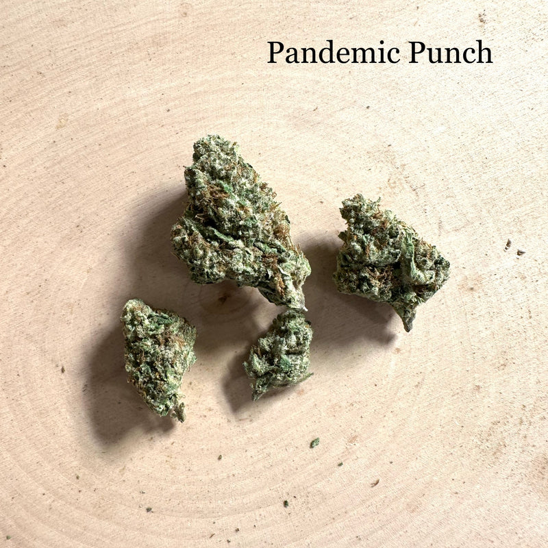 Indoor Pandemic Punch