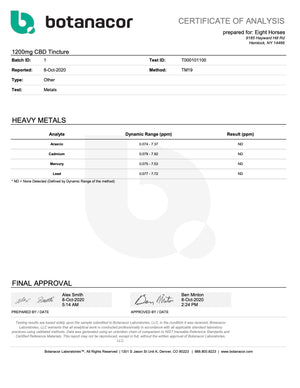 Full Spectrum CBD Tincture - Standard Strength - Mint Flavor