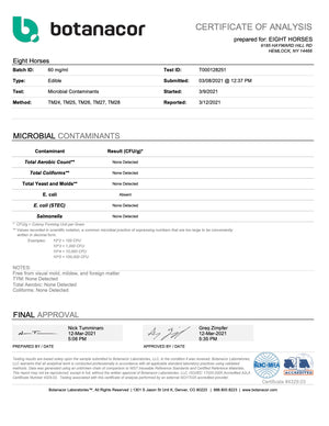 Full Spectrum CBD Tincture - Maximum Strength - Mint Flavor