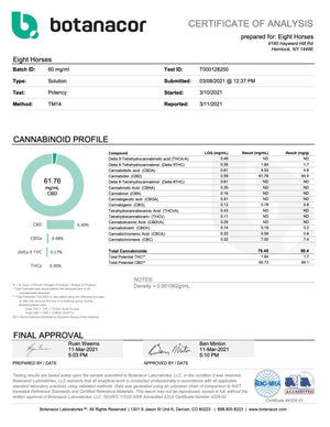 Full Spectrum CBD Tincture - Standard Strength - Mint Flavor