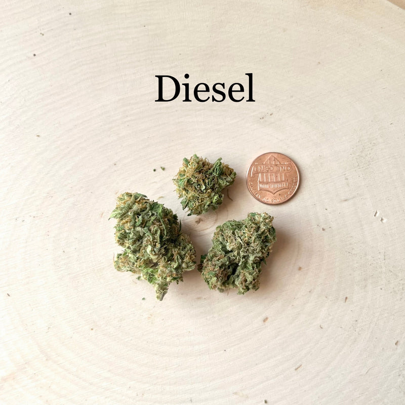 Diesel - Greenhouse