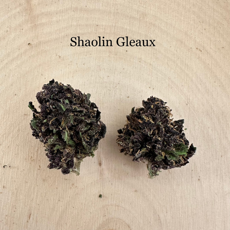 Shaolin Gleaux - Outdoor