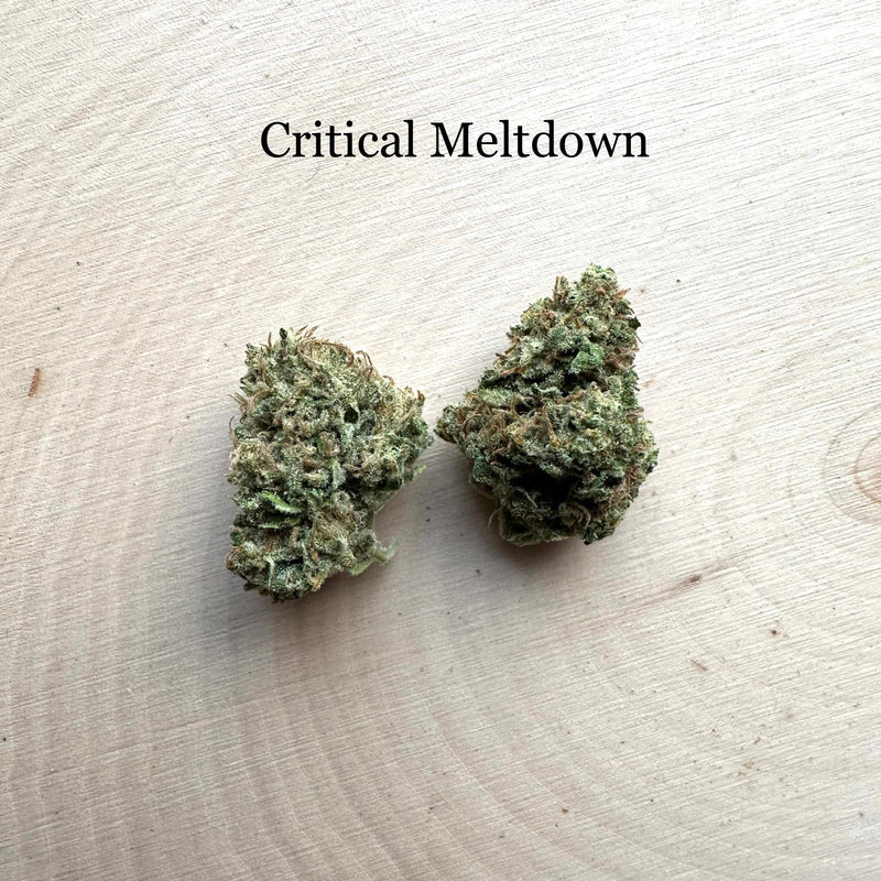 Critical Meltdown - Greenhouse