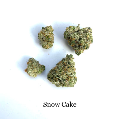 Snow Cake - Indoor