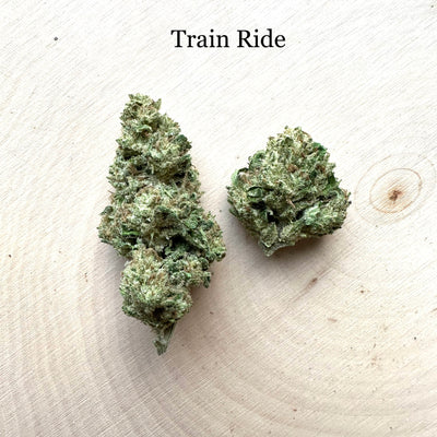 Train Ride - Greenhouse