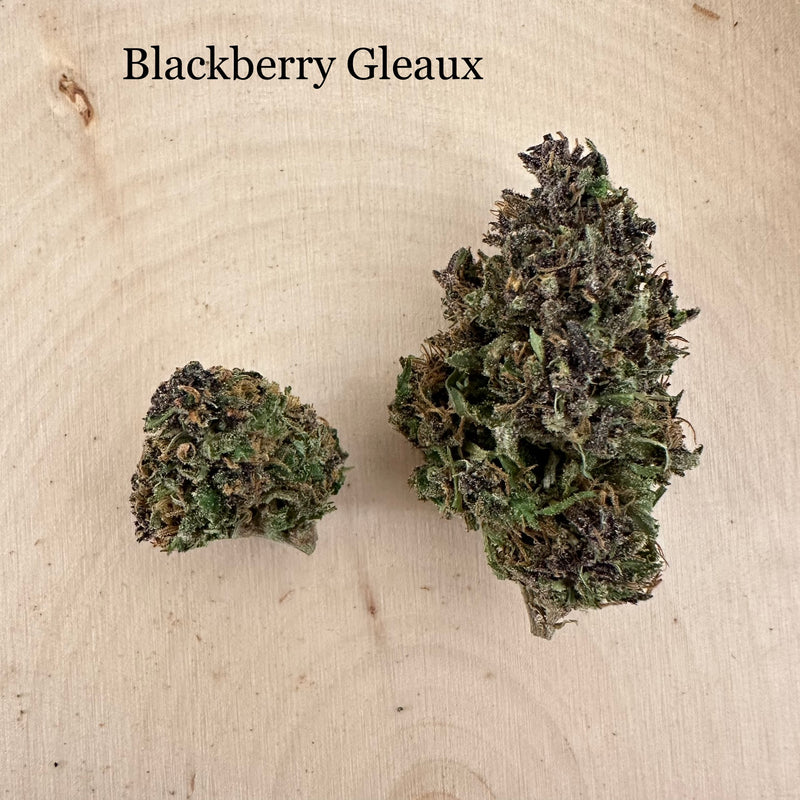 Blackberry Gleaux - Outdoor