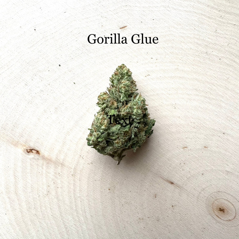 Gorilla Glue - Greenhouse