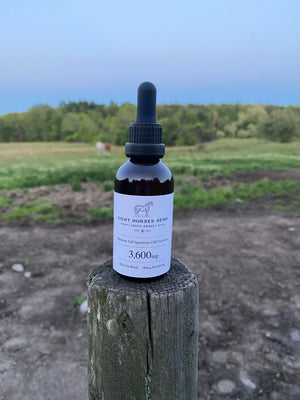 Full Spectrum CBD Tincture - Maximum Strength - Mint Flavor