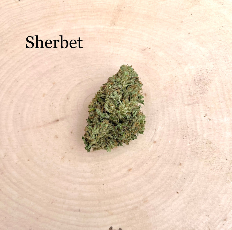Sherbet - Greenhouse
