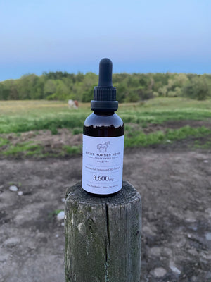 Full Spectrum CBD Tincture - Standard Strength - Mint Flavor
